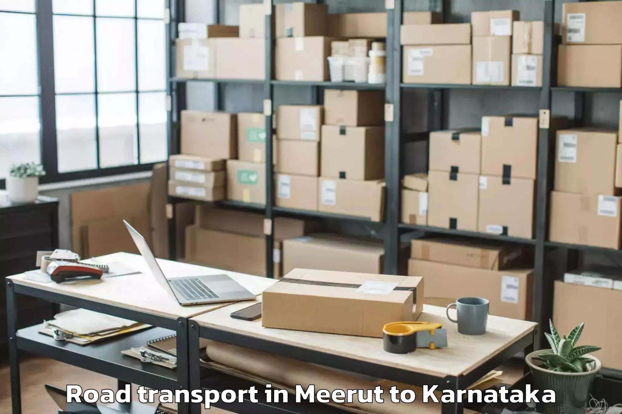 Expert Meerut to Karnataka Veterinary Animal An Road Transport